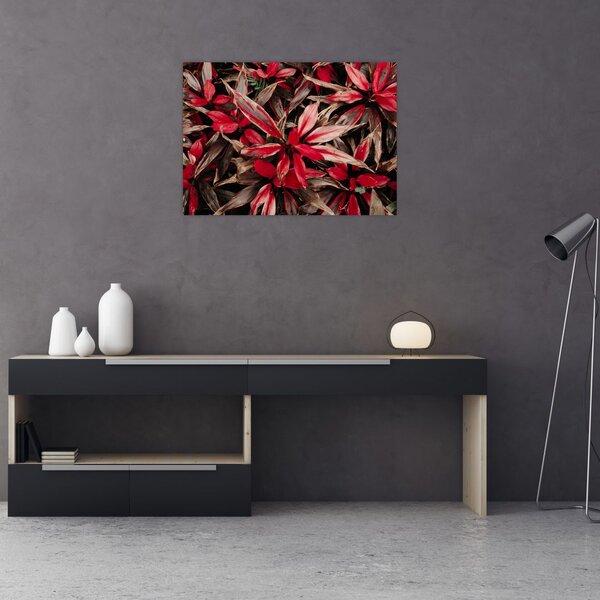 Slika crvenih latica (70x50 cm)