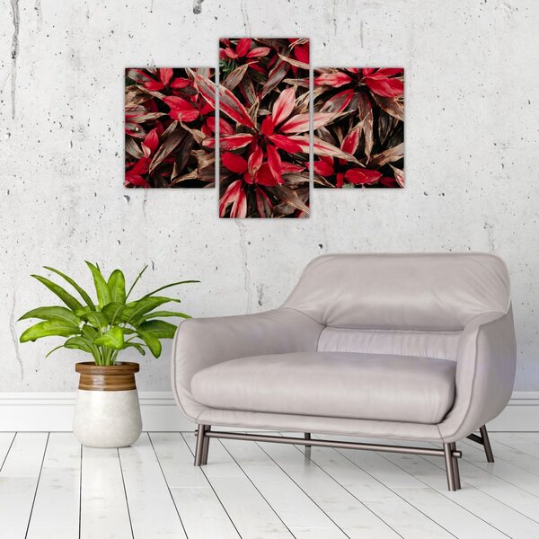 Slika crvenih latica (90x60 cm)