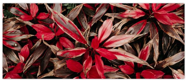 Slika crvenih latica (120x50 cm)