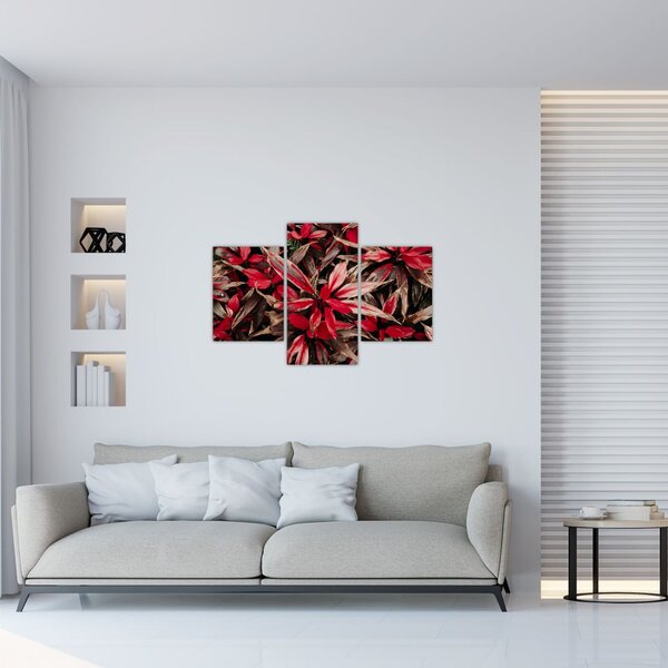 Slika crvenih latica (90x60 cm)