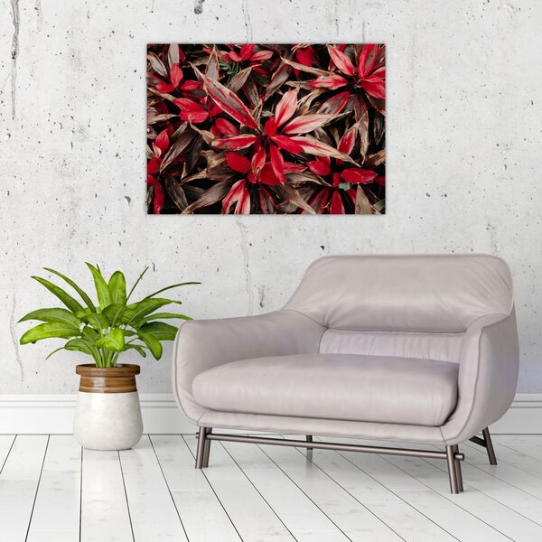 Slika crvenih latica (70x50 cm)