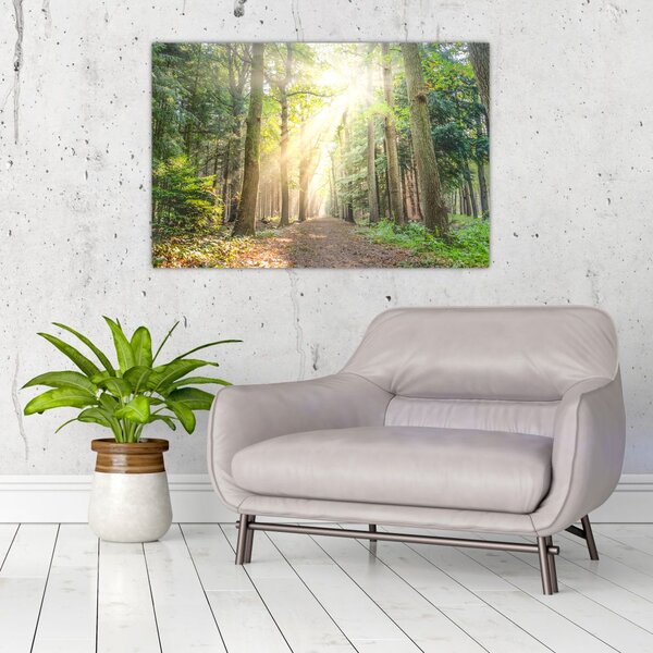 Slika staze u šumi (90x60 cm)
