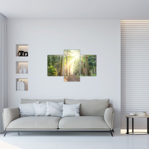 Slika staze u šumi (90x60 cm)