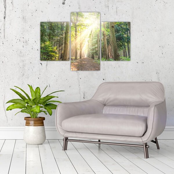 Slika staze u šumi (90x60 cm)