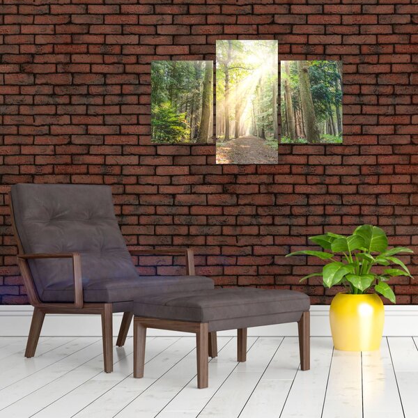 Slika staze u šumi (90x60 cm)