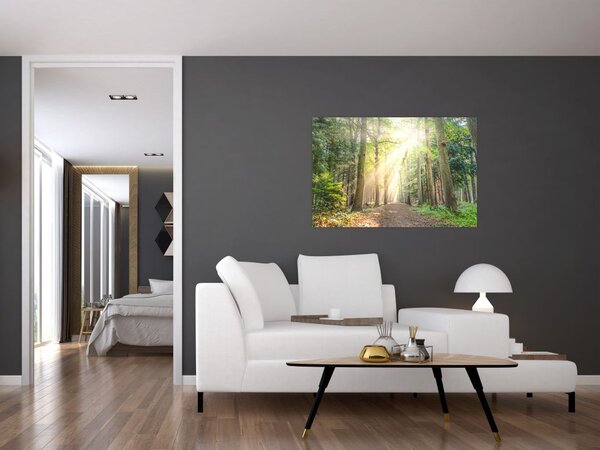 Slika staze u šumi (90x60 cm)