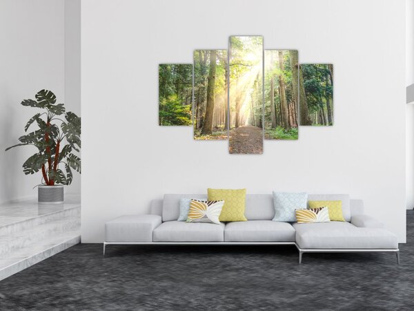 Slika staze u šumi (150x105 cm)