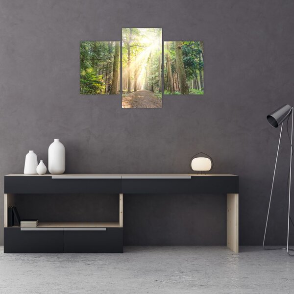 Slika staze u šumi (90x60 cm)