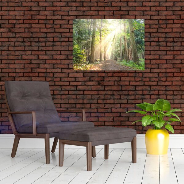 Slika staze u šumi (70x50 cm)