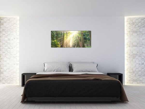 Slika staze u šumi (120x50 cm)