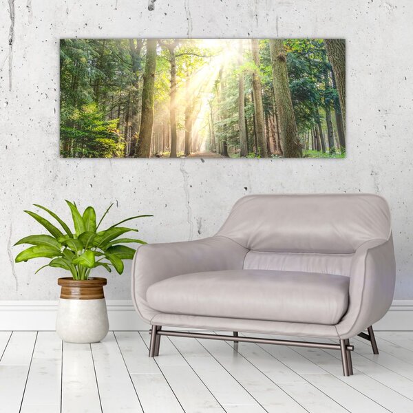 Slika staze u šumi (120x50 cm)