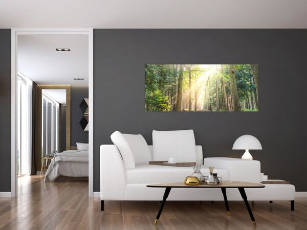 Slika staze u šumi (120x50 cm)