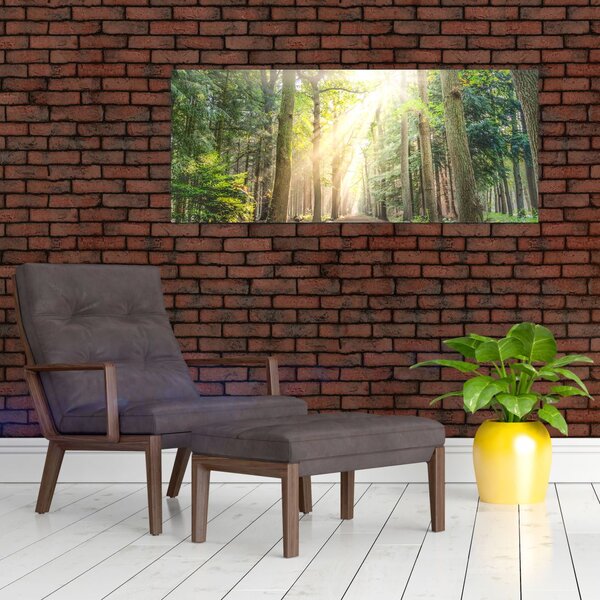 Slika staze u šumi (120x50 cm)
