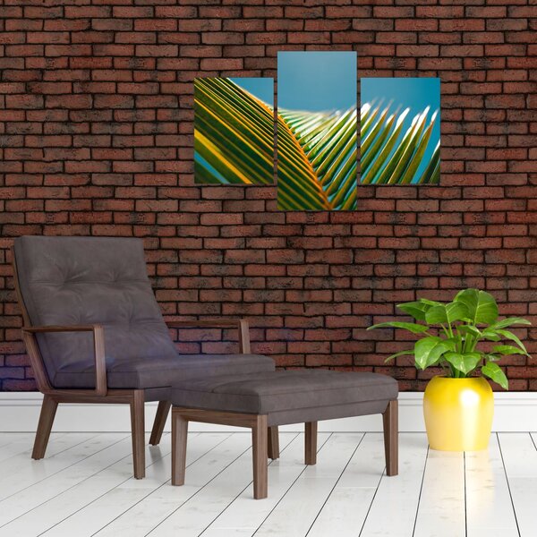 Slika - Detalj palminog lista (90x60 cm)