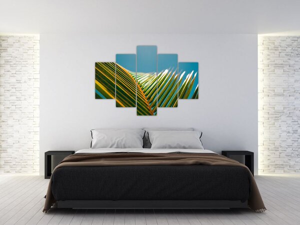 Slika - Detalj palminog lista (150x105 cm)