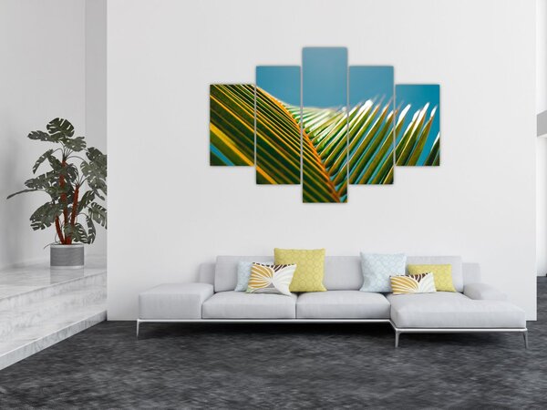 Slika - Detalj palminog lista (150x105 cm)