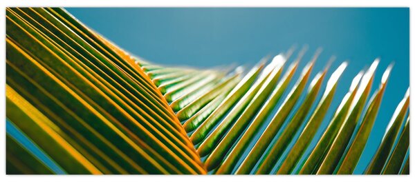 Slika - Detalj palminog lista (120x50 cm)