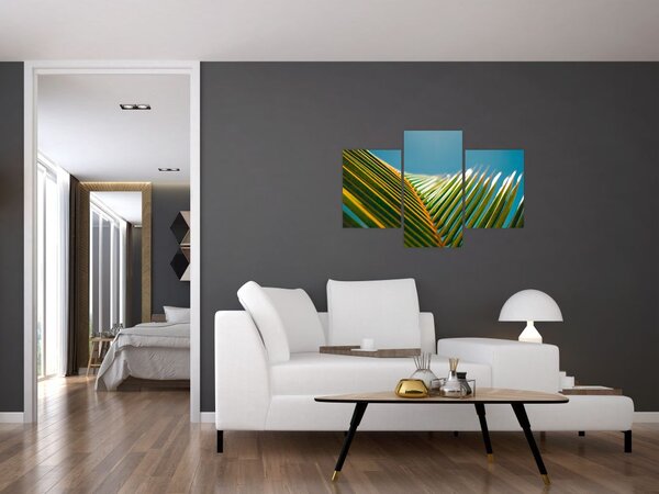Slika - Detalj palminog lista (90x60 cm)