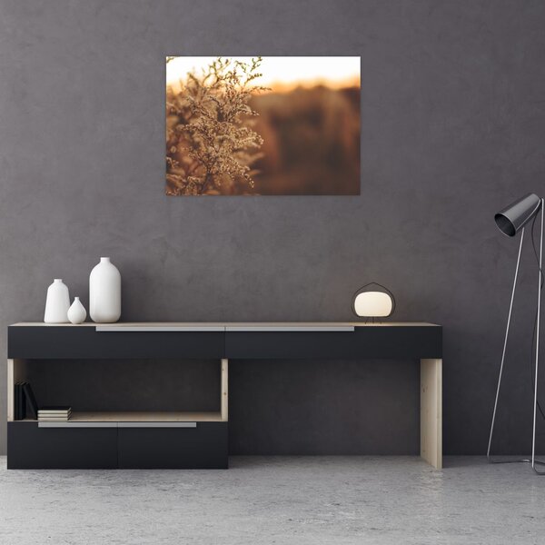 Slika trave koja cvate (70x50 cm)