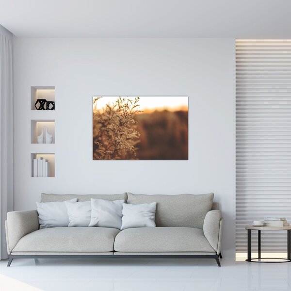 Slika trave koja cvate (90x60 cm)