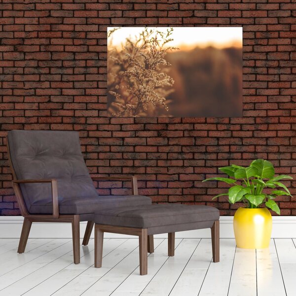 Slika trave koja cvate (90x60 cm)