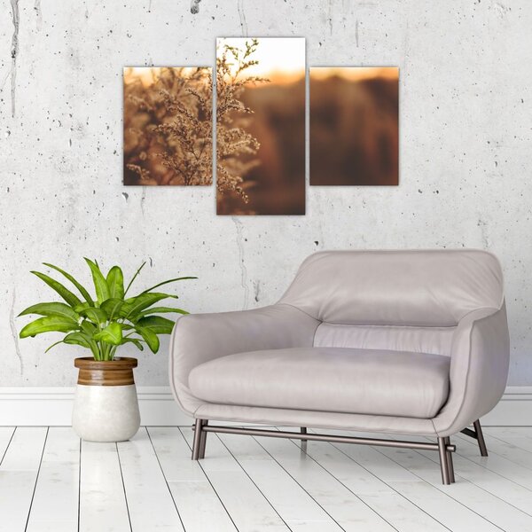 Slika trave koja cvate (90x60 cm)
