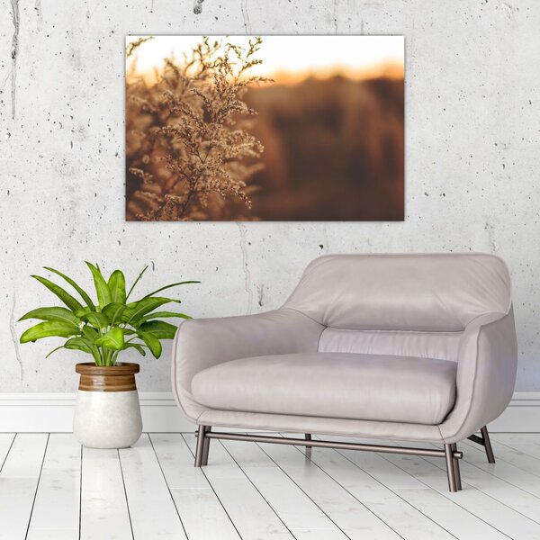 Slika trave koja cvate (90x60 cm)