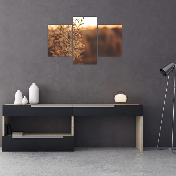 Slika trave koja cvate (90x60 cm)