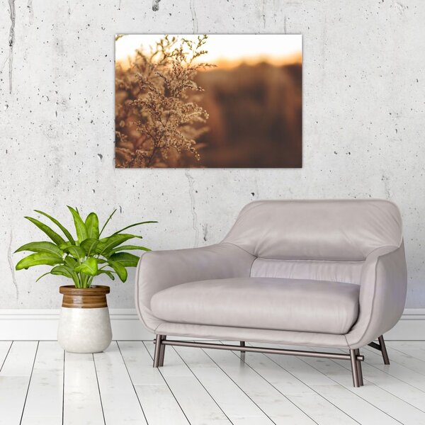 Slika trave koja cvate (70x50 cm)