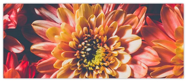 Slika - Krizanteme (120x50 cm)