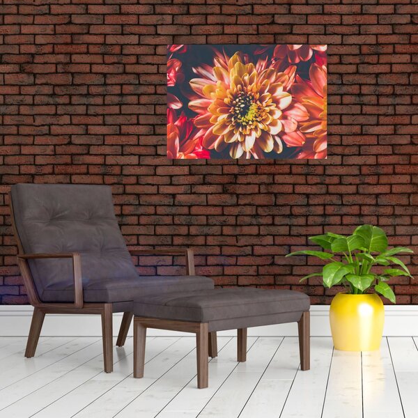 Slika - Krizanteme (70x50 cm)