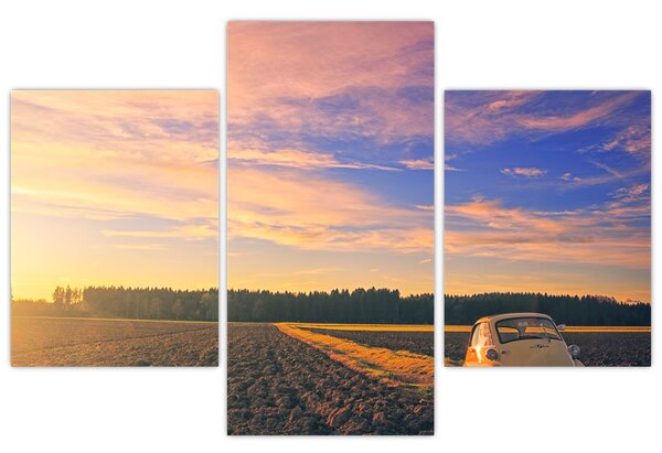 Slika žutog automobila u polju (90x60 cm)