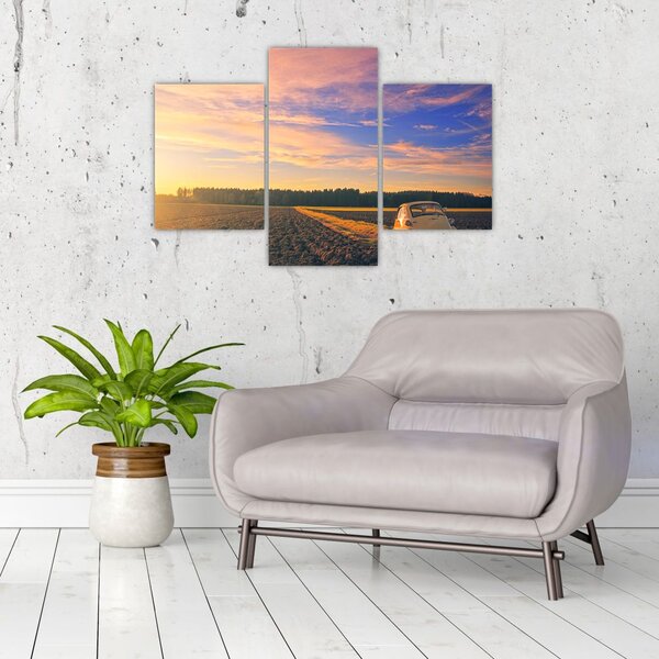 Slika žutog automobila u polju (90x60 cm)