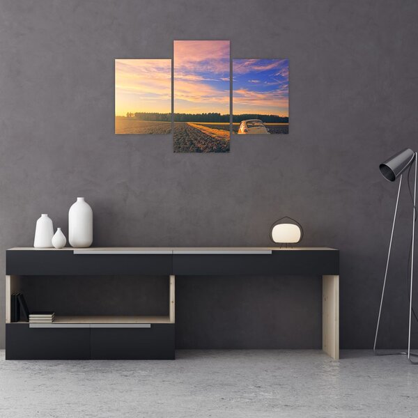 Slika žutog automobila u polju (90x60 cm)