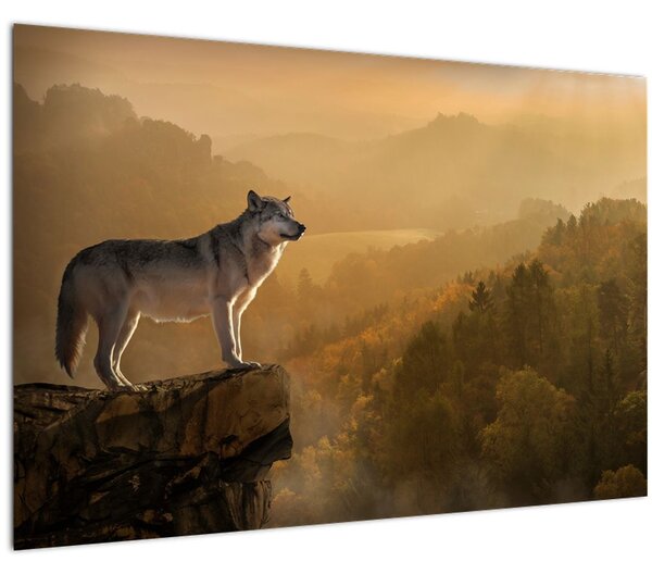 Slika vuka na stijeni (90x60 cm)