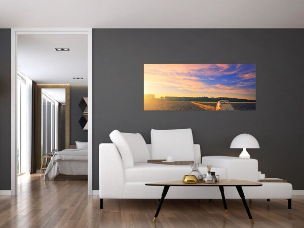 Slika žutog automobila u polju (120x50 cm)