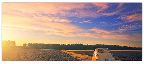Slika žutog automobila u polju (120x50 cm)