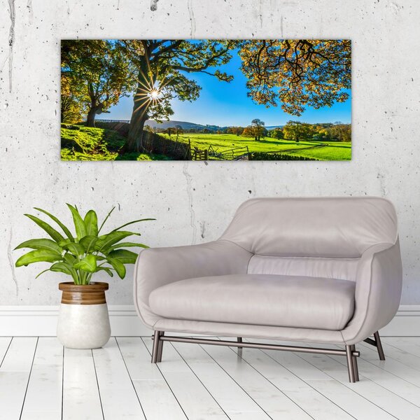 Slika - Pogled na polje (120x50 cm)