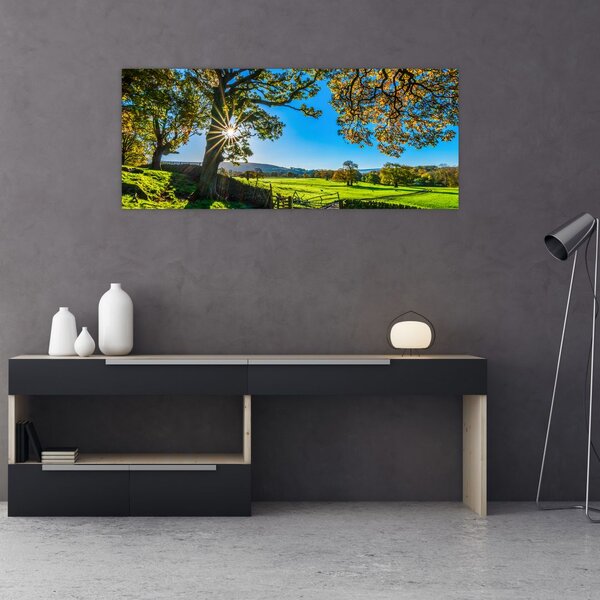 Slika - Pogled na polje (120x50 cm)