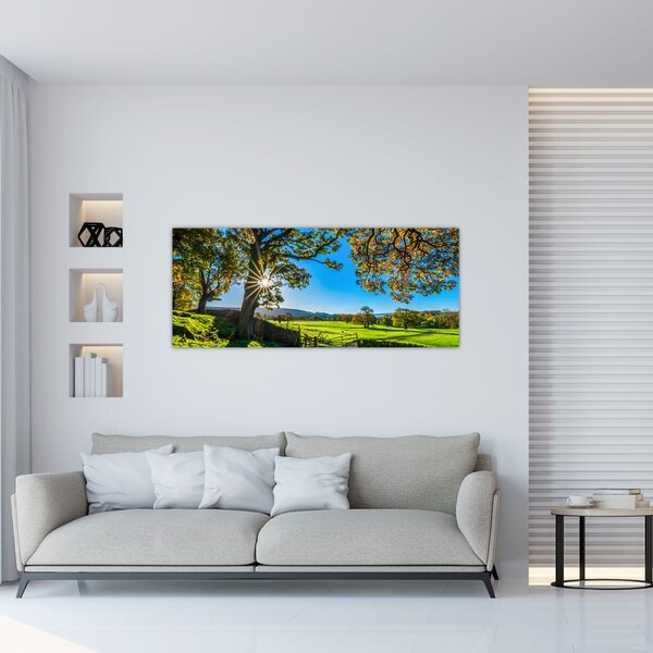 Slika - Pogled na polje (120x50 cm)