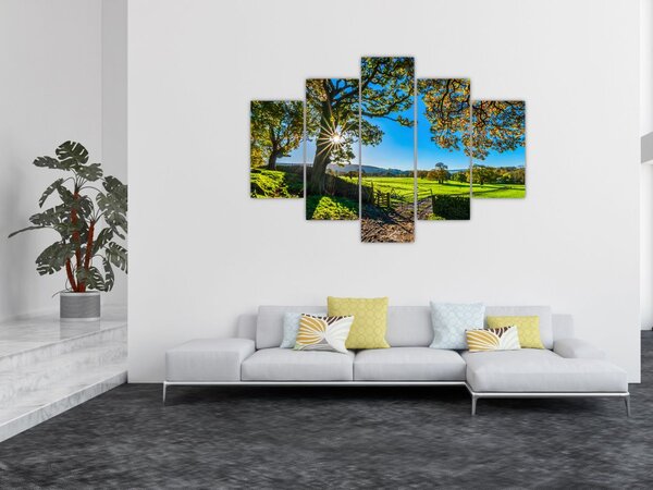 Slika - Pogled na polje (150x105 cm)