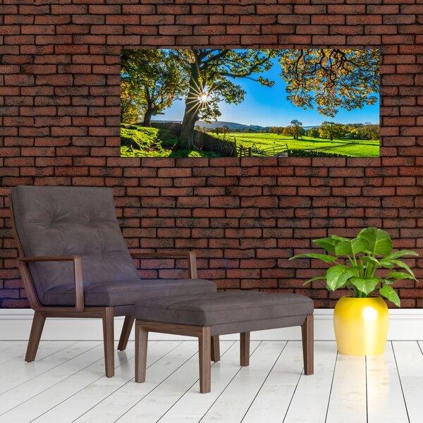 Slika - Pogled na polje (120x50 cm)
