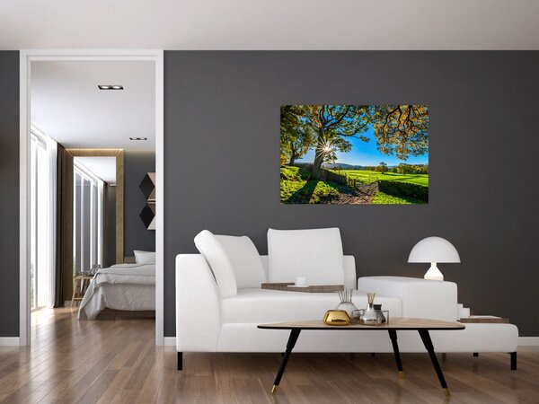 Slika - Pogled na polje (90x60 cm)