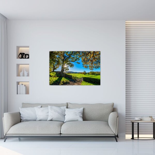 Slika - Pogled na polje (90x60 cm)