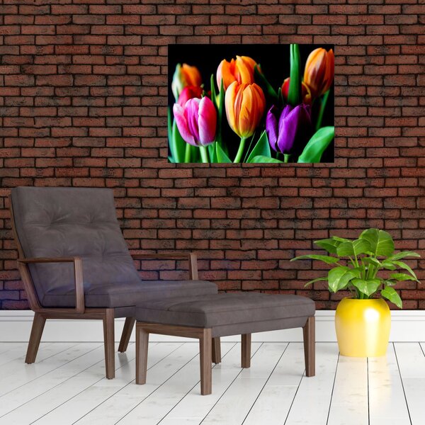 Slika tulipana na crnoj pozadini (70x50 cm)