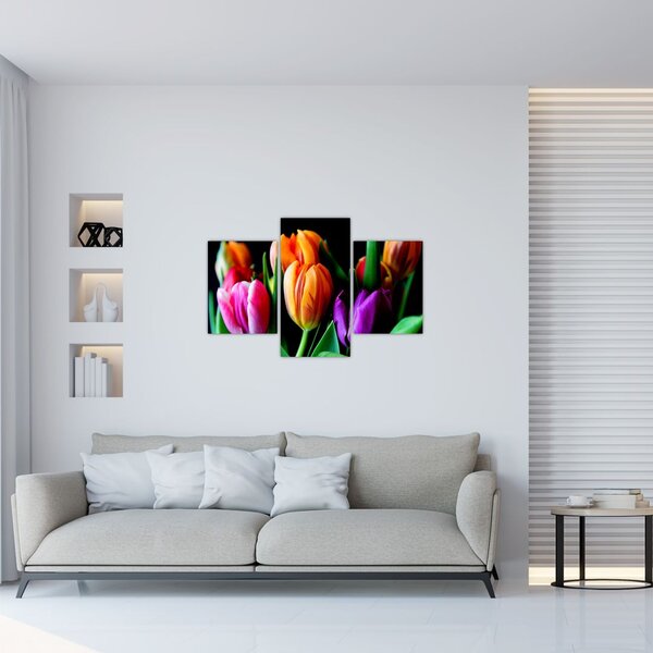 Slika tulipana na crnoj pozadini (90x60 cm)