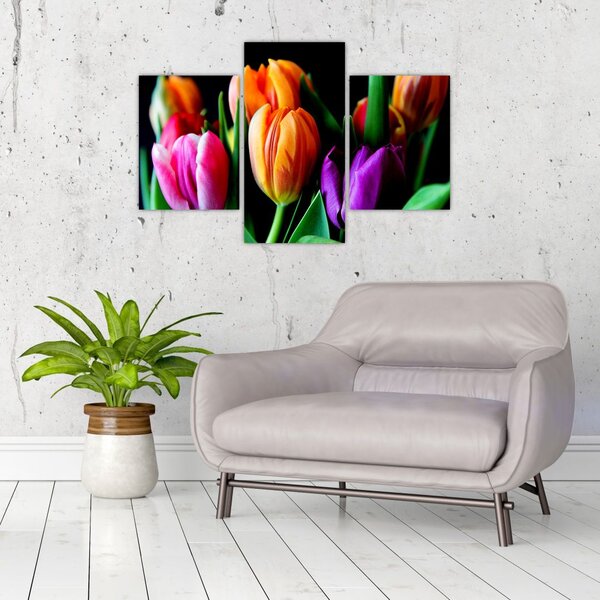 Slika tulipana na crnoj pozadini (90x60 cm)