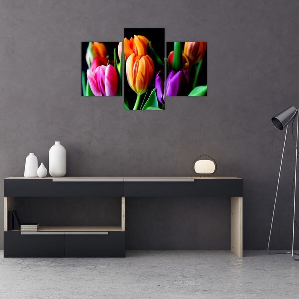 Slika tulipana na crnoj pozadini (90x60 cm)