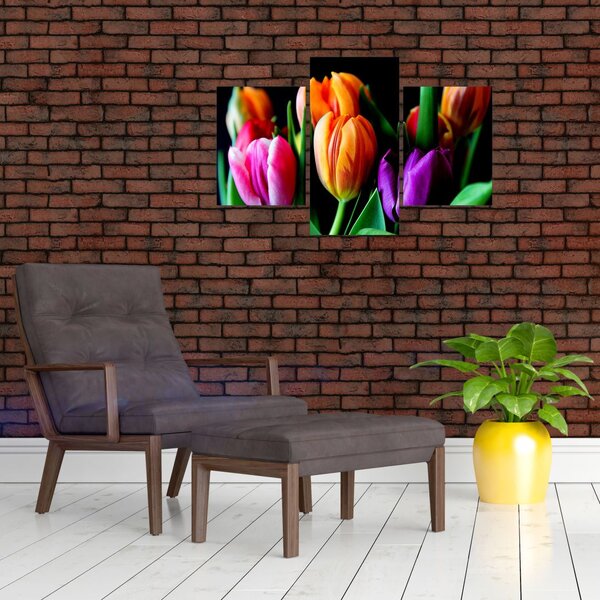 Slika tulipana na crnoj pozadini (90x60 cm)