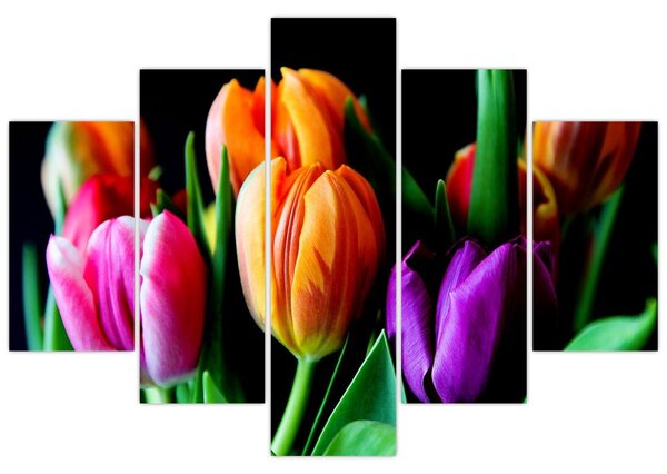 Slika tulipana na crnoj pozadini (150x105 cm)